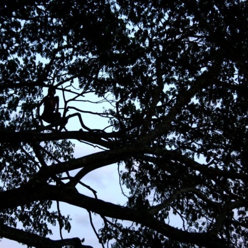 Darkness and light 01 CR Lynette Wallworth Darkness and light 01 CR Lynette Wallworth